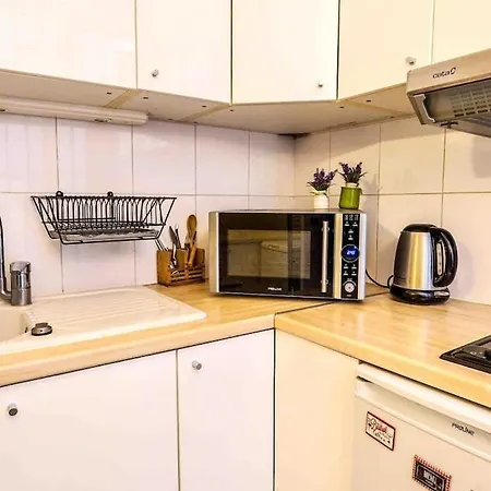 Spacious Studio Near Montorgueil *